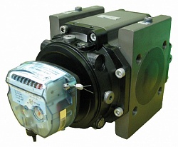 РСГ-100-G250