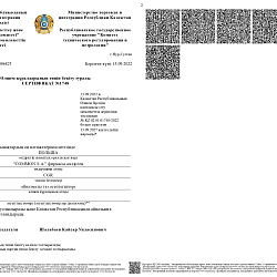 Сертификат 9